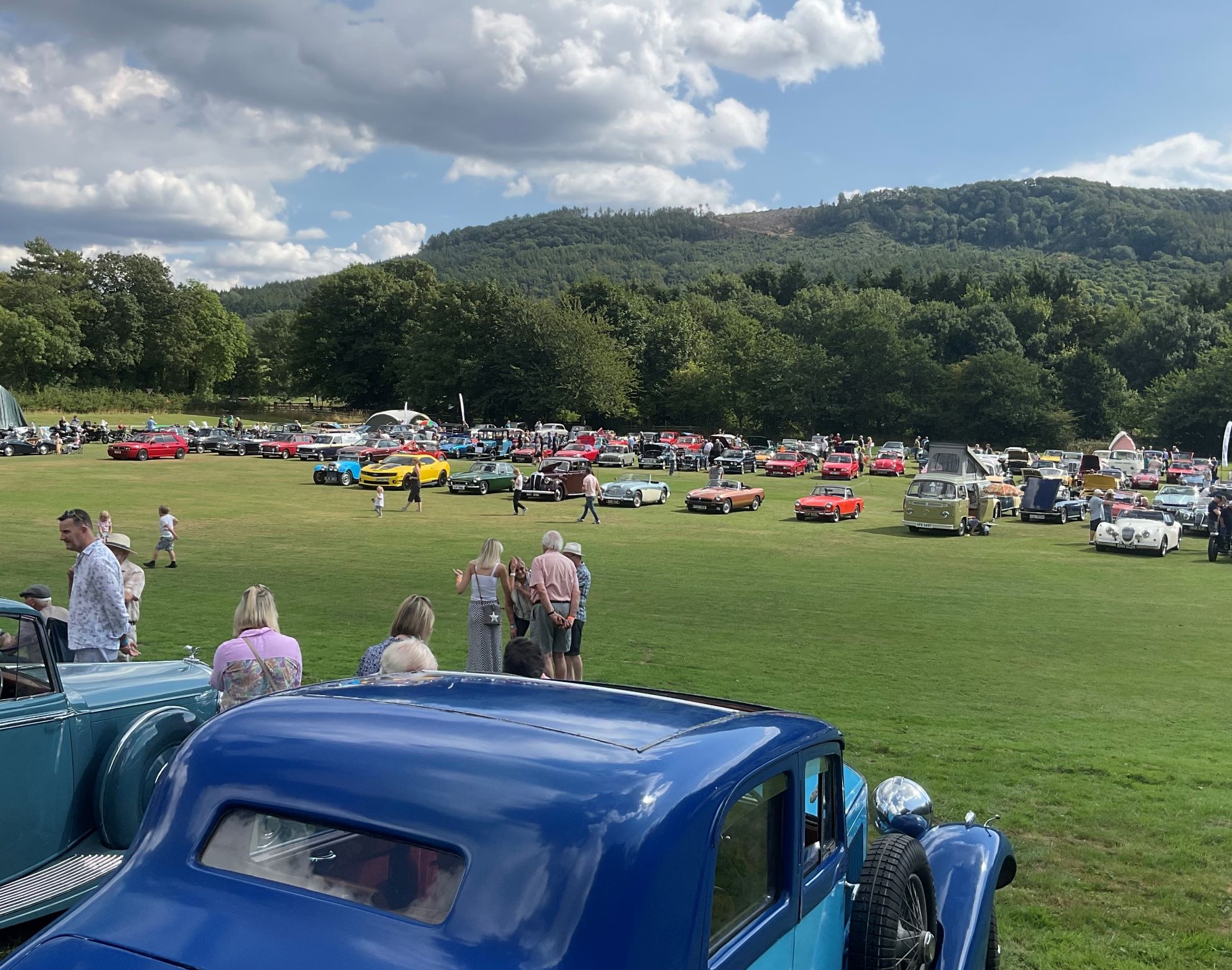 Classic cars on the cricket field